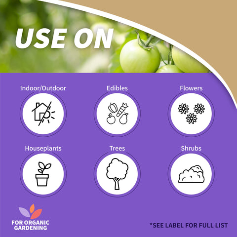 Neem oil application on vegetables provides organic pest management during the growing season.