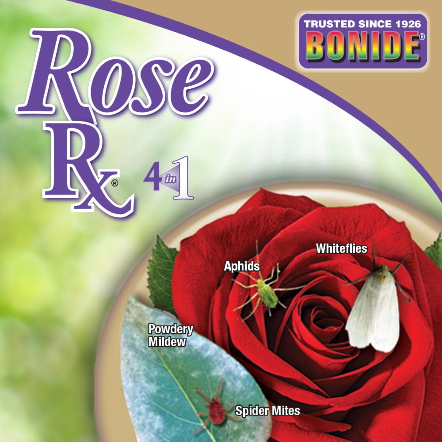 Indoor plants benefiting from Captain Jack's Rose Rx use.