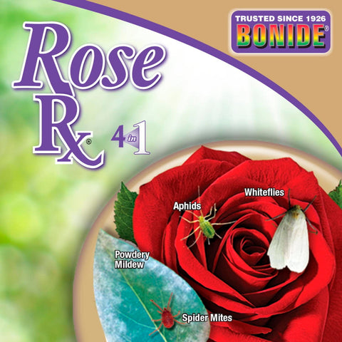 Indoor plants benefiting from Captain Jack's Rose Rx use.