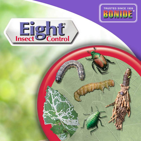Bonide Eight Insect Control being applied to a garden bed with vegetables.