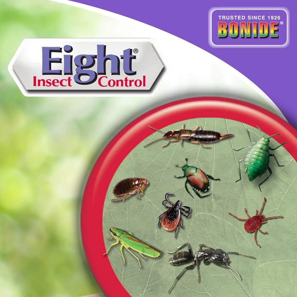 Bonide Eight Insect Control targets mosquitoes and other pests for lawns.