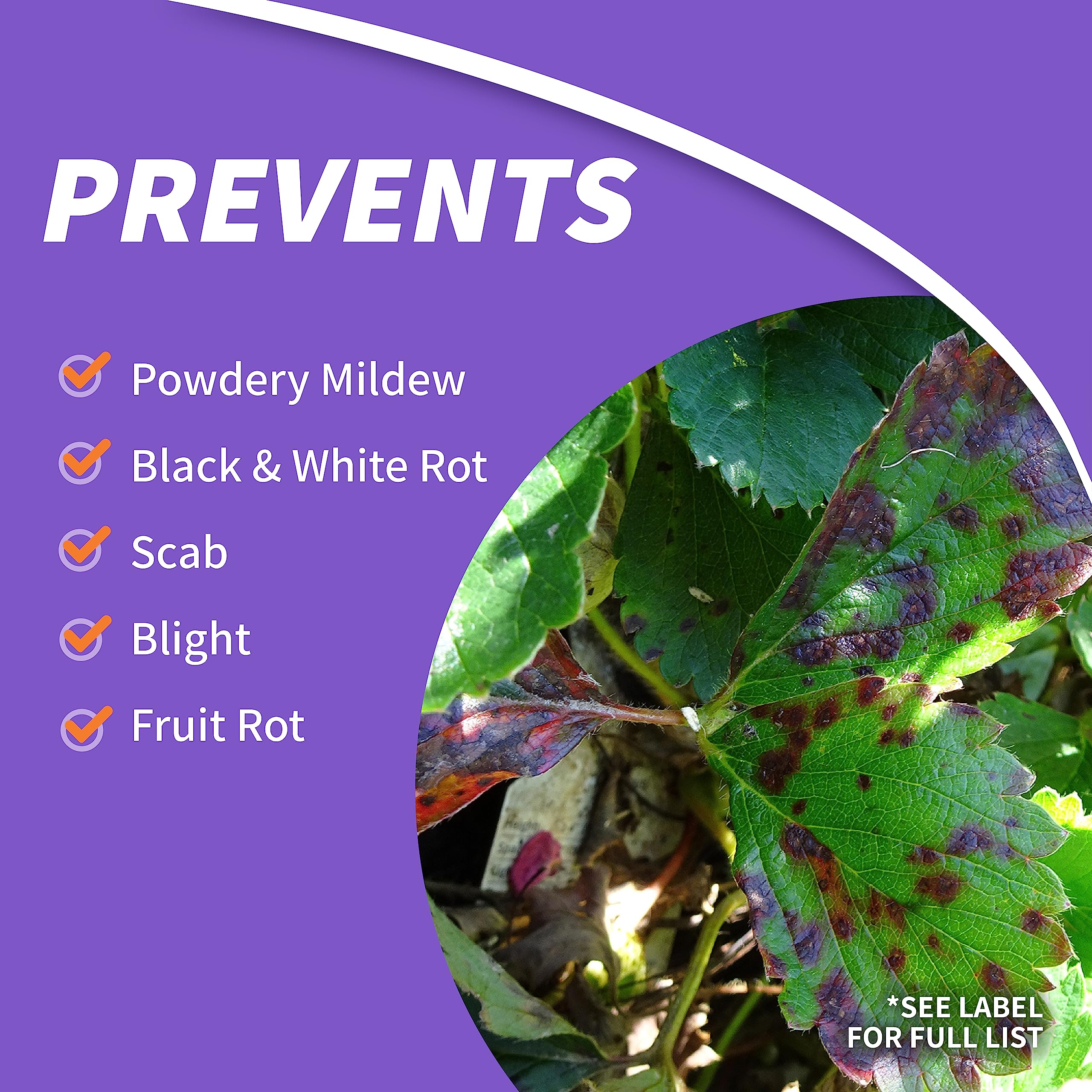 Apple and pear trees protected by Bonide Fruit Tree Guard