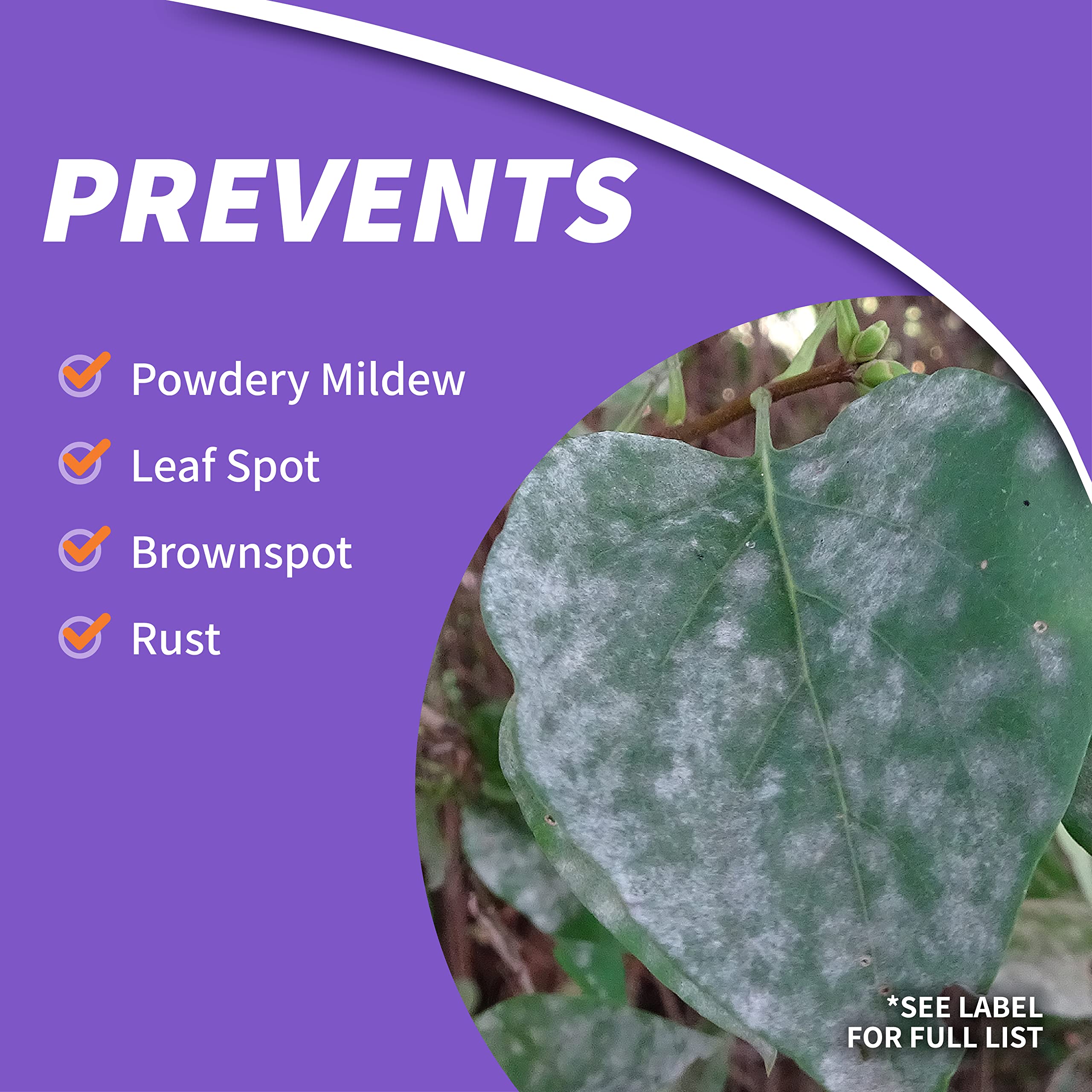 Fruits, nuts, and ornamentals protected by Bonide Fruit Tree & Plant Guard in a garden.
