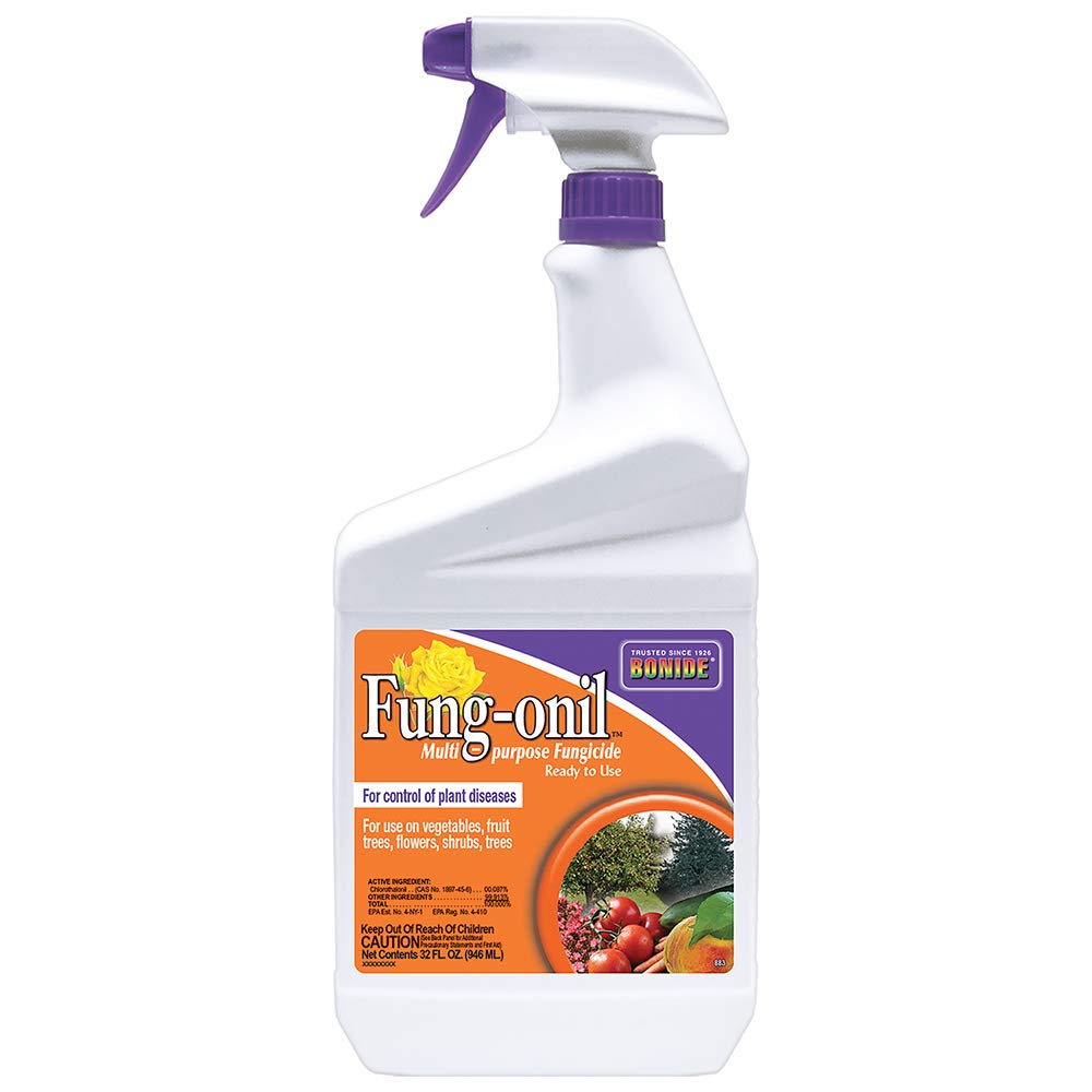 Bonide Fung-onil bottle with sprayer ready to protect garden plants.
