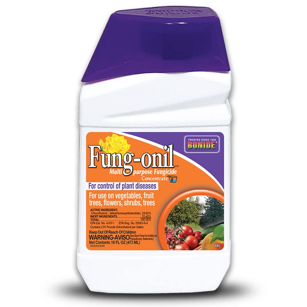 Bonide Fung-onil concentrate bottle for disease protection in the garden.