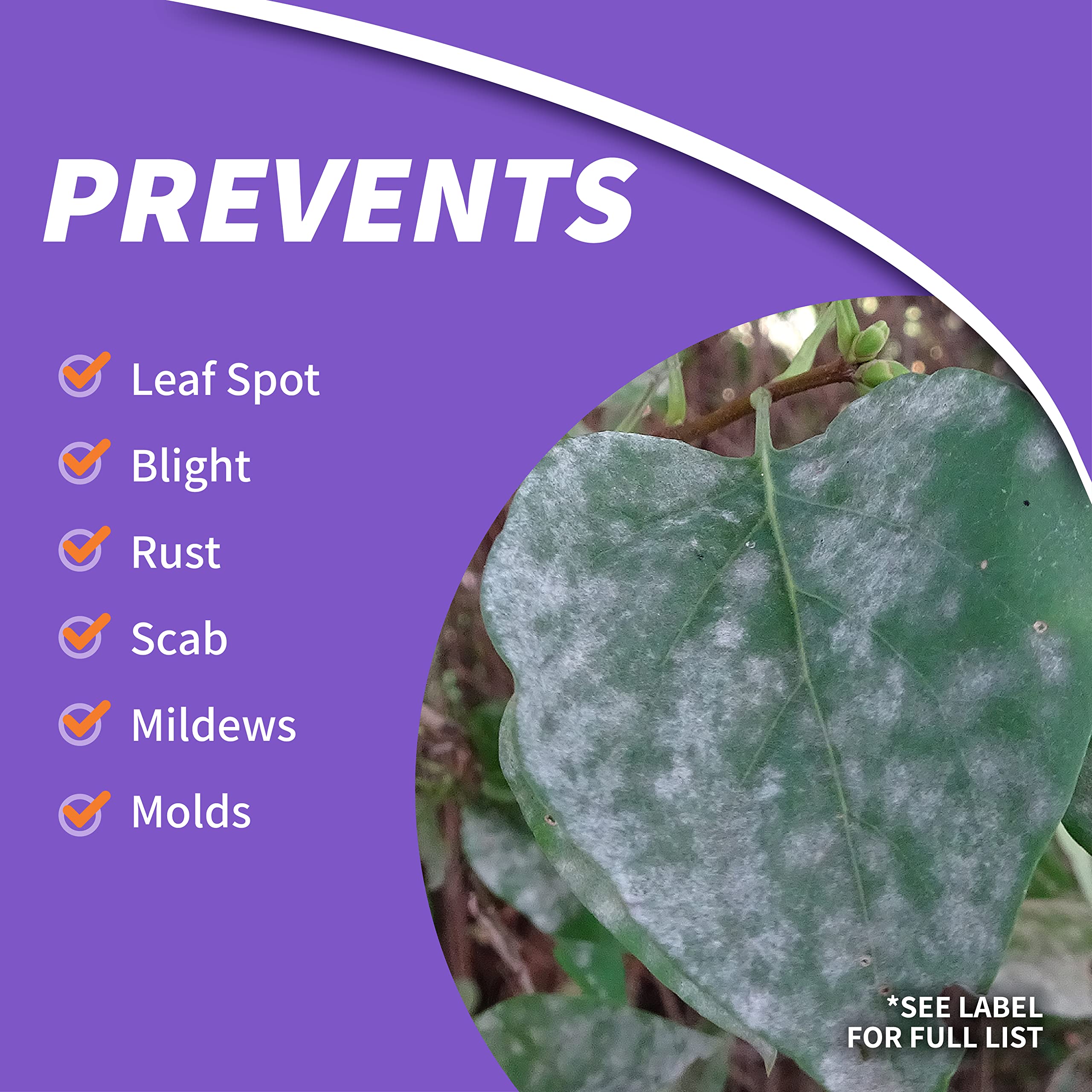 Bonide Fung-onil applied to fruits and vegetables to help defend harvests.