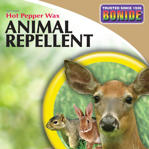 Bonide Hot Pepper Wax coverage provides ongoing garden protection throughout peak wildlife activity.