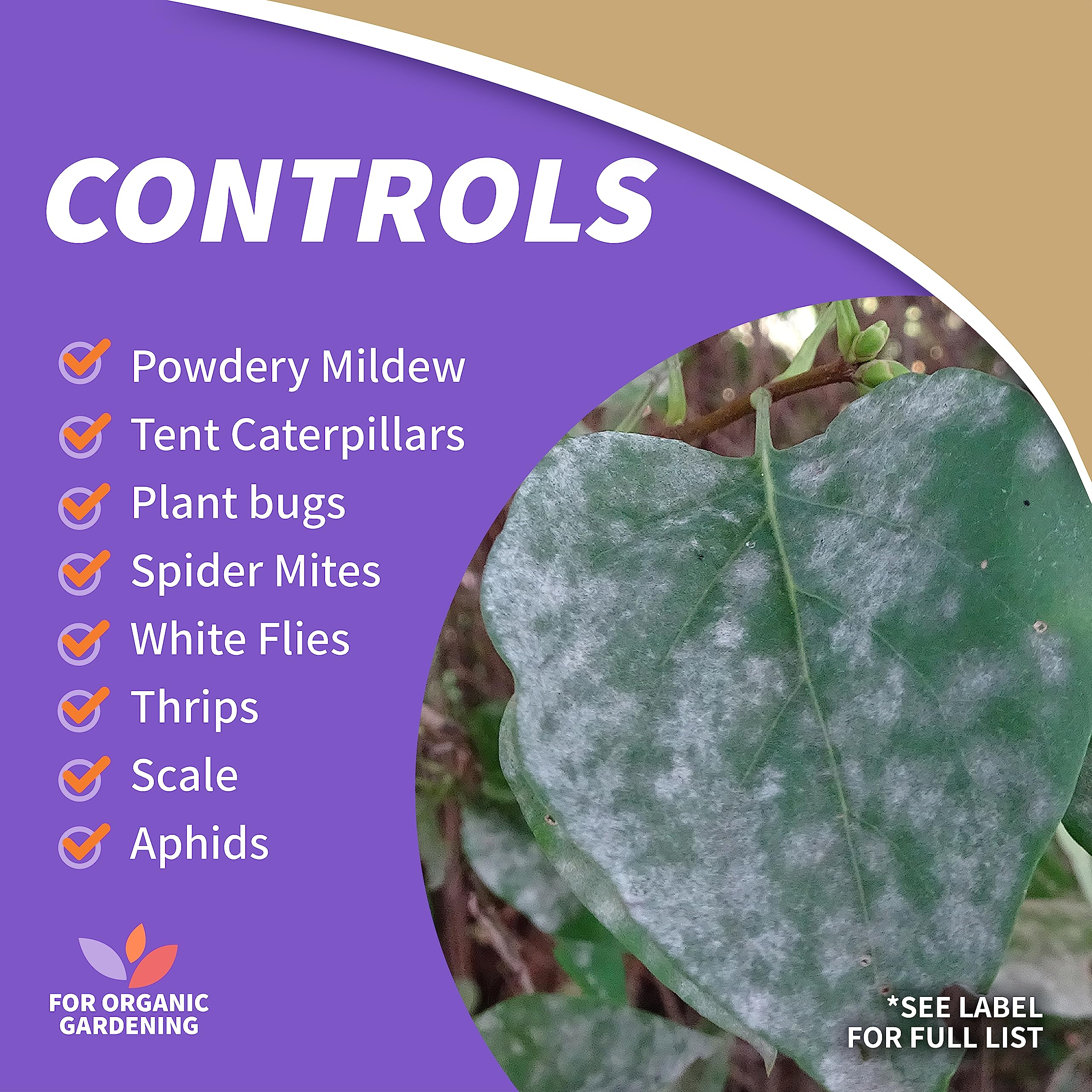 Bonide soap protects vegetables and fruits in organic gardens.