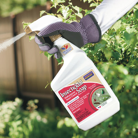 Bonide soap helps protect blooming flowers from common pests.