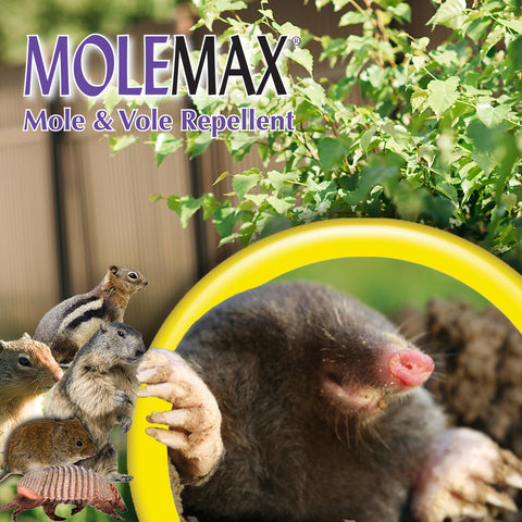 Safe-for-use label on MOLEMAX indicating pet and people safety guidelines.