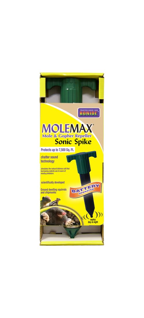Bonide MoleMax Spike installed in a lawn to deter burrowing rodents.