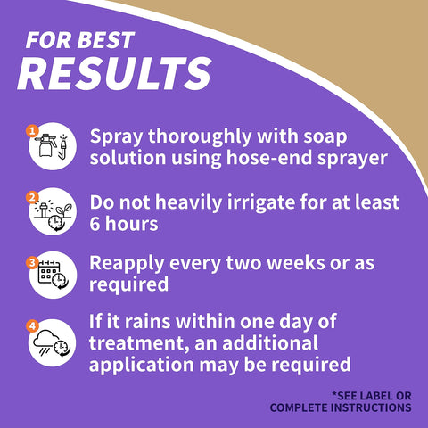 Fine spray mist covers lawn during Bonide MossMax application