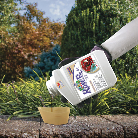 Rose Rx used in organic gardening for indoor and outdoor plants.