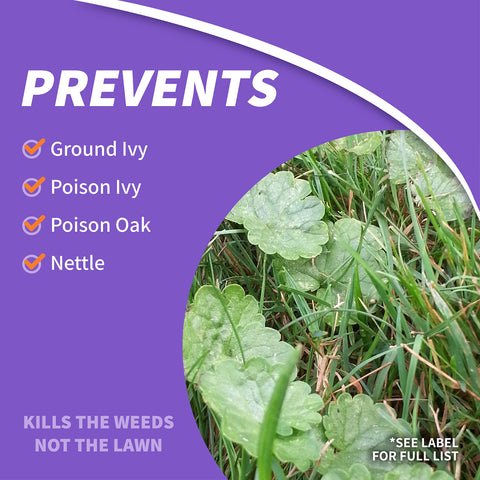 Bonide Poison Oak & Ivy Killer applying to roots for thorough weed control down to the root.