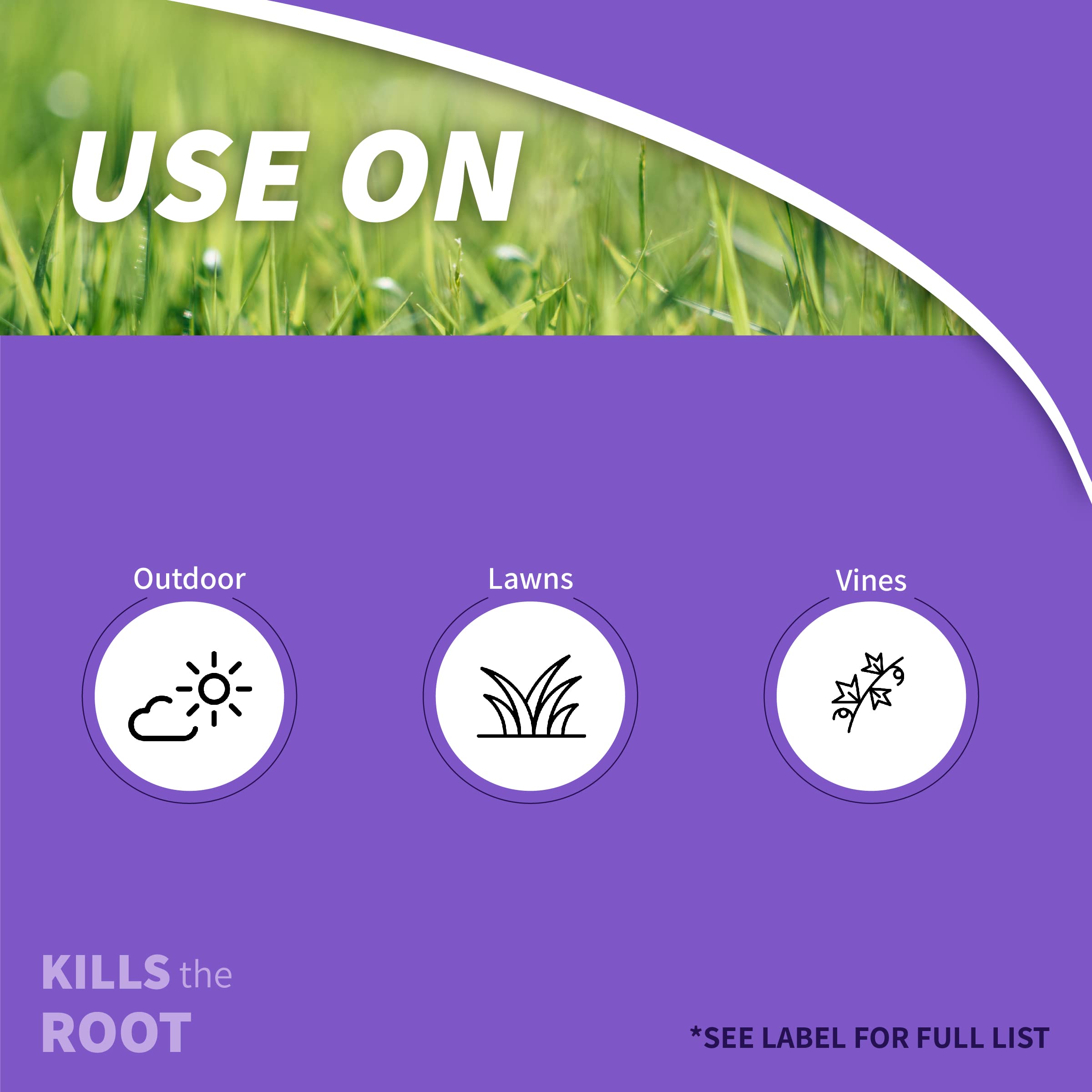 Bonide Poison Oak & Ivy Killer spray in action targeting poison ivy for fast results.