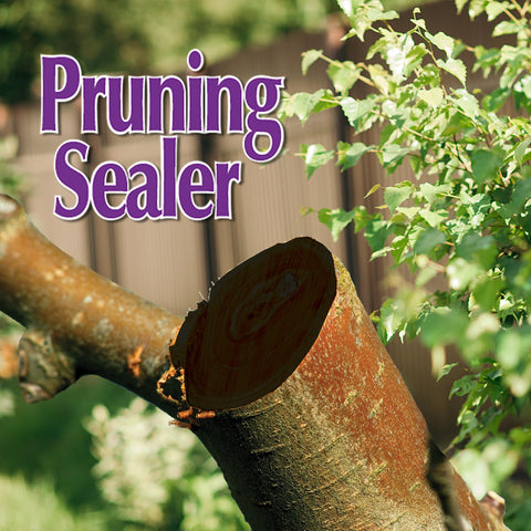 Bonide Pruning Sealer ready-to-use applicator simplifies garden wound care