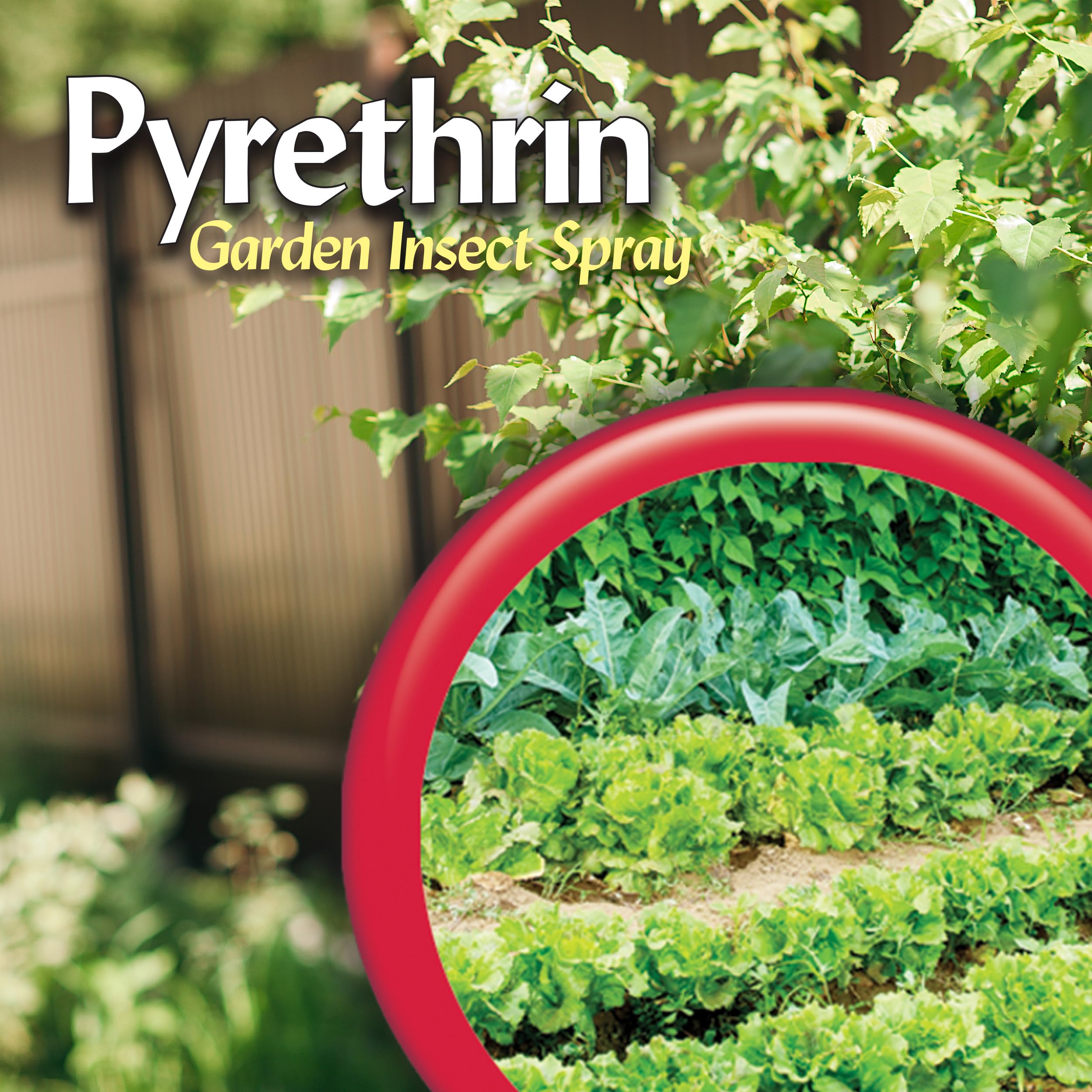 Garden scene with treated plants thriving after Bonide Pyrethrin Garden Spray application.