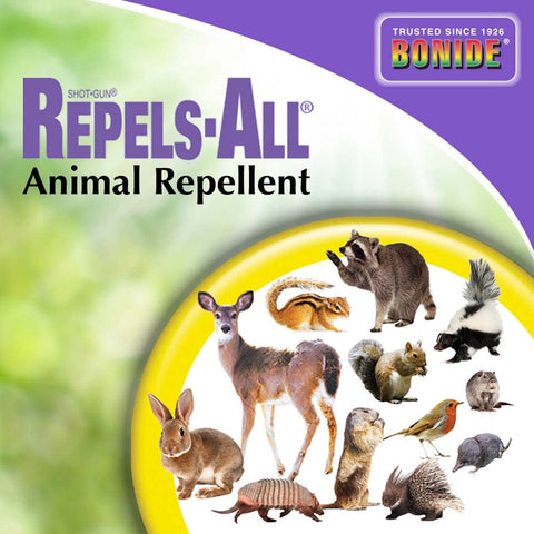 Outdoor area protected with Repels-All to deter pests from yard and deck