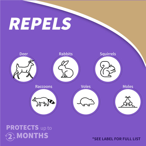 Bonide Repels-All spray application around garden edges forms a protective perimeter.