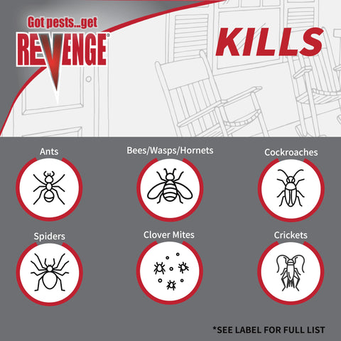 Indoor-use view of Bonide Revenge Spider & Ground Bee Killer targeting cracks and crevices.