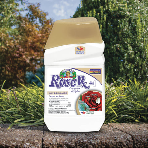 Rose Rx concentrate being mixed with water for spray application.