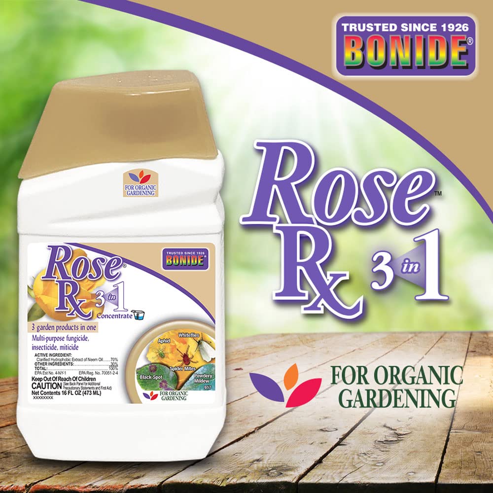 Bonide Rose Rx spray application for neem-based pest and disease control.