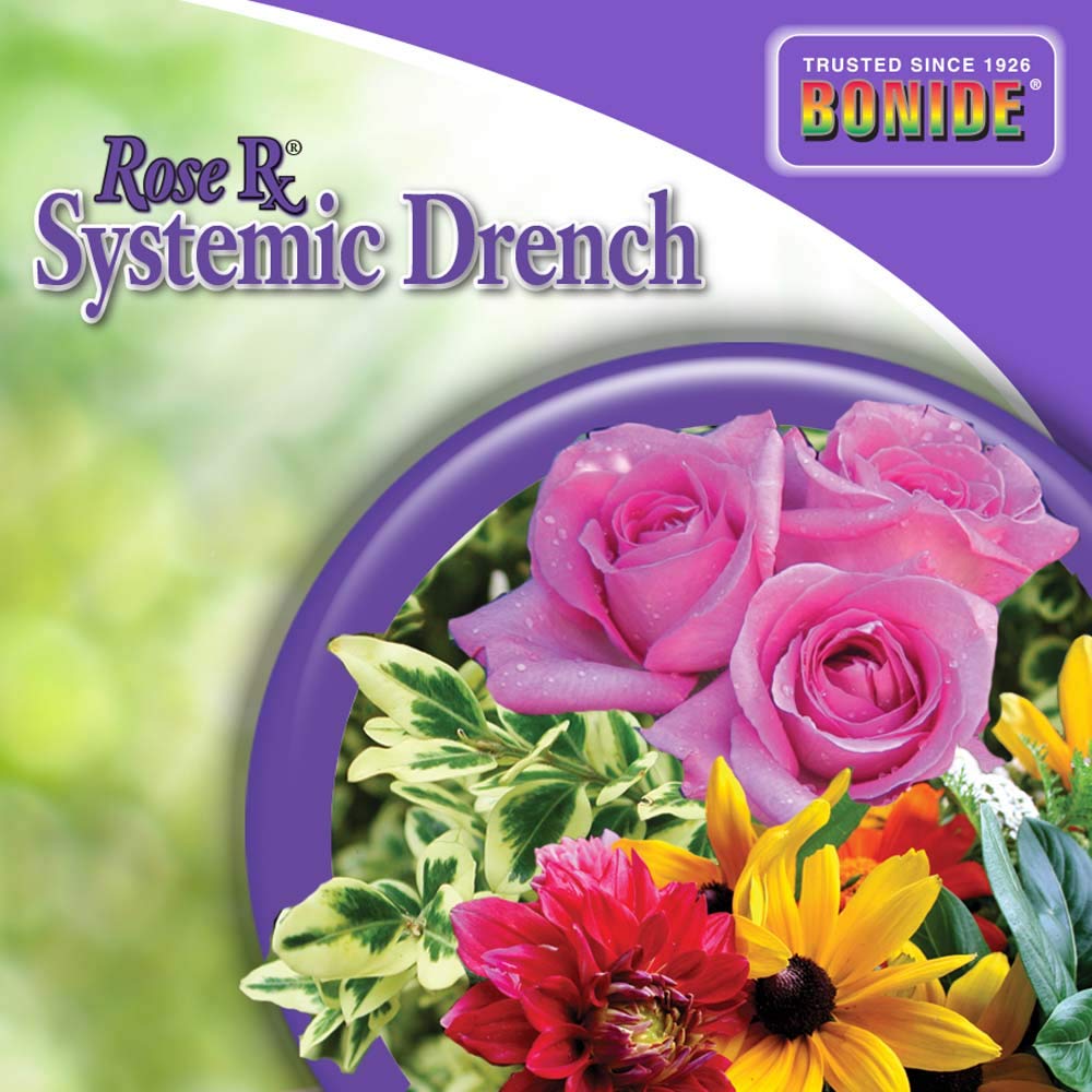 Bonide Rose Rx systemic action visible through healthy plants