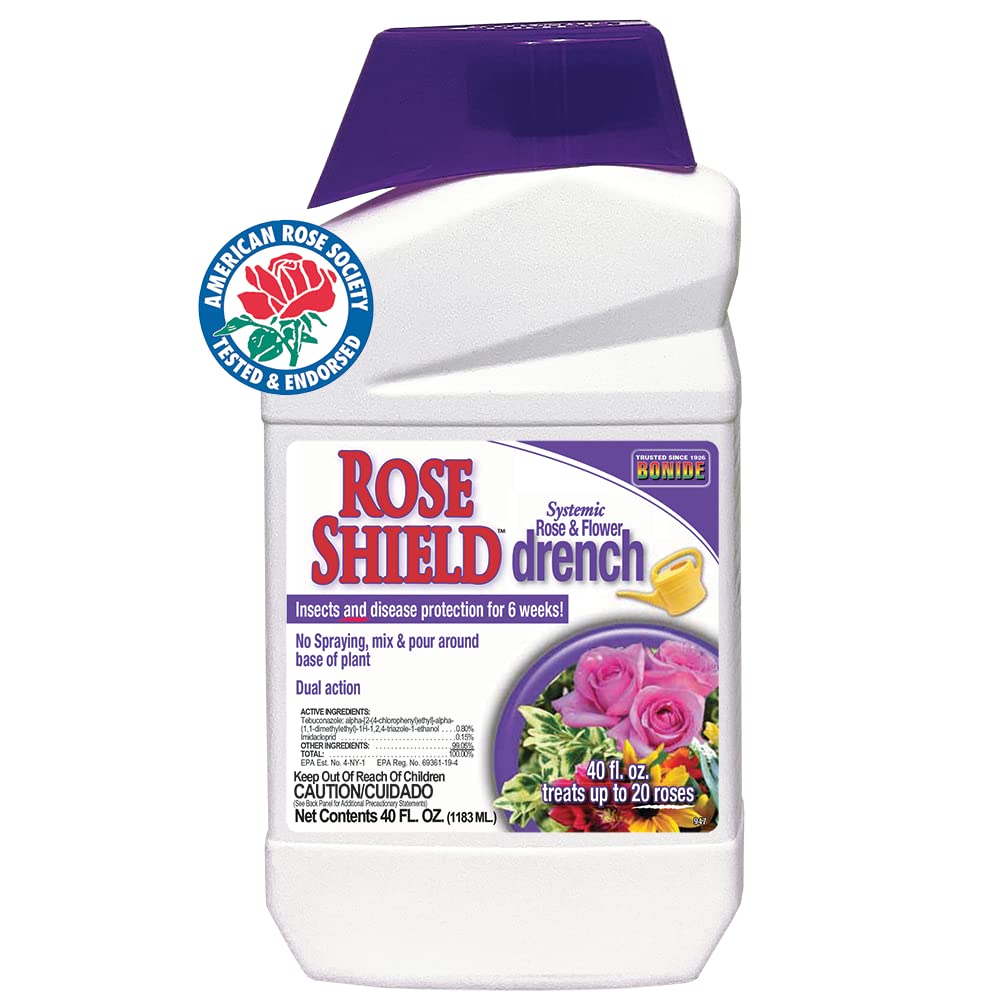 Bonide Rose Shield Drench base application around roses for long-lasting protection.