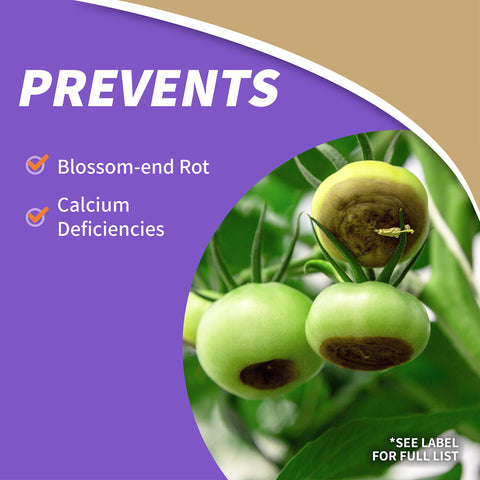 Rot Stop being diluted in water for easy foliar application to crops.
