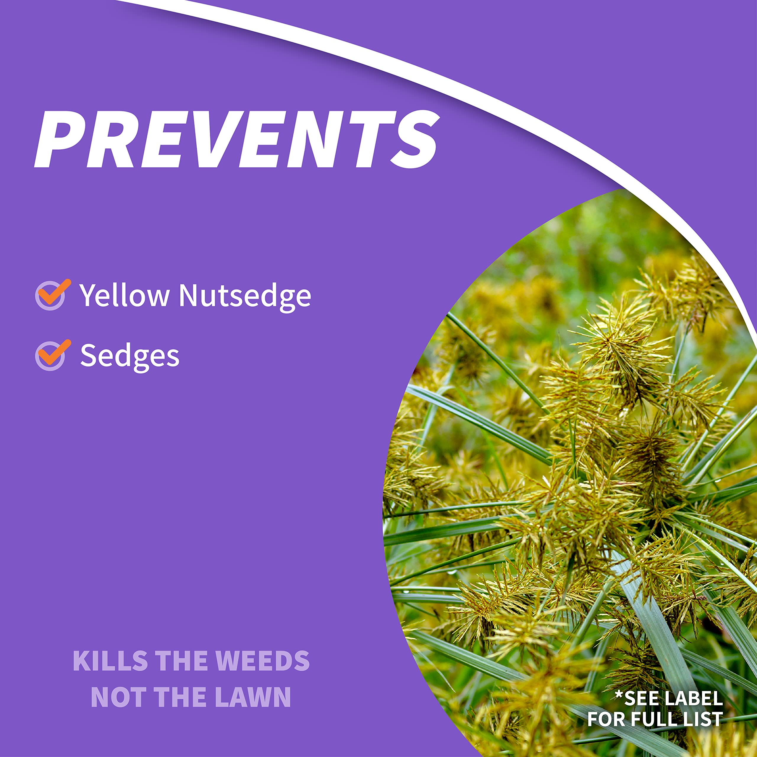 Bonide Sedge Ender spray application on lawn demonstrates pre- and post-emergent control.