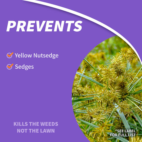 Bonide Sedge Ender spray application on lawn demonstrates pre- and post-emergent control.