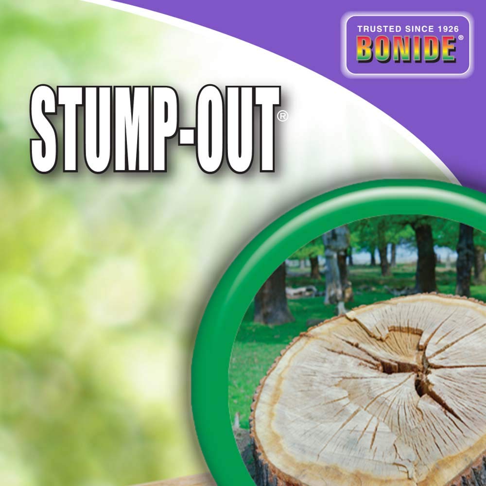 Bonide Stump-Out burn-out or chop-out option demonstrated after treatment for easier stump removal