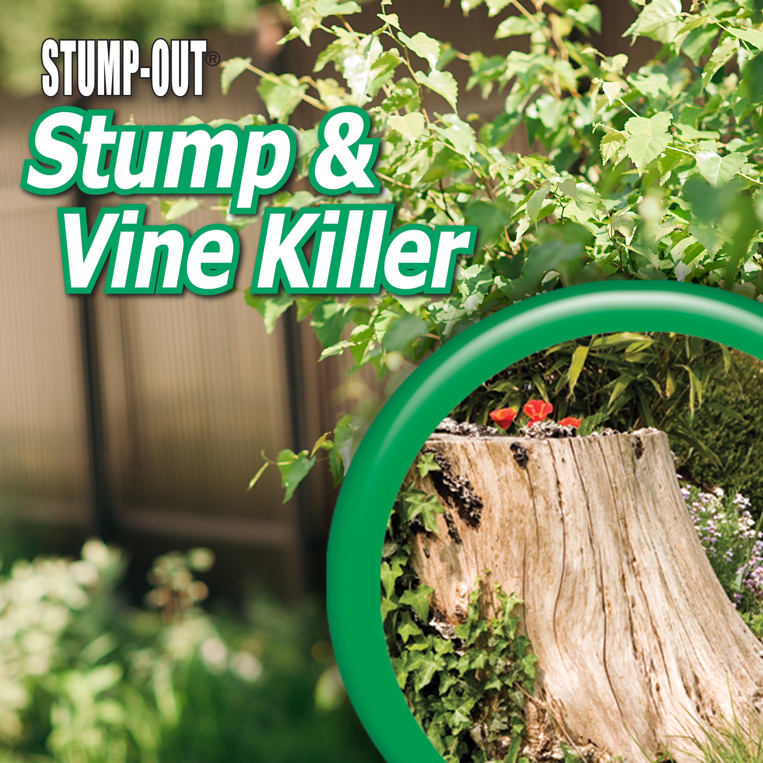 Bonide Stump-Out fast-acting formula showing visible progress in weeks.