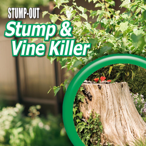 Bonide Stump-Out fast-acting formula showing visible progress in weeks.