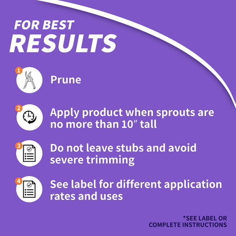 Bonide Sucker Punch base application prevents root sprouts and suckers