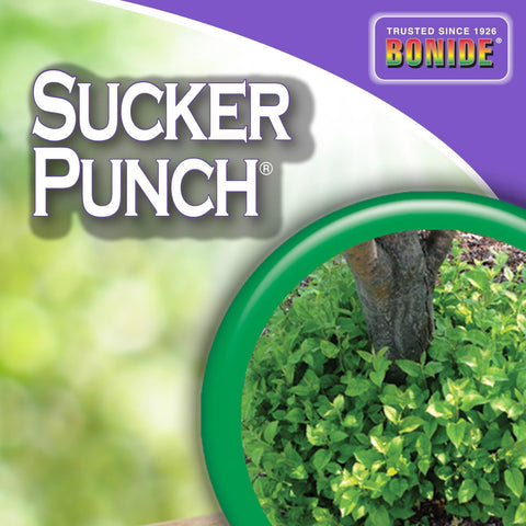 Bonide Sucker Punch supports better light penetration for growth