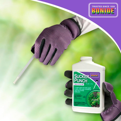 Bonide Sucker Punch improves spray penetration for pest control