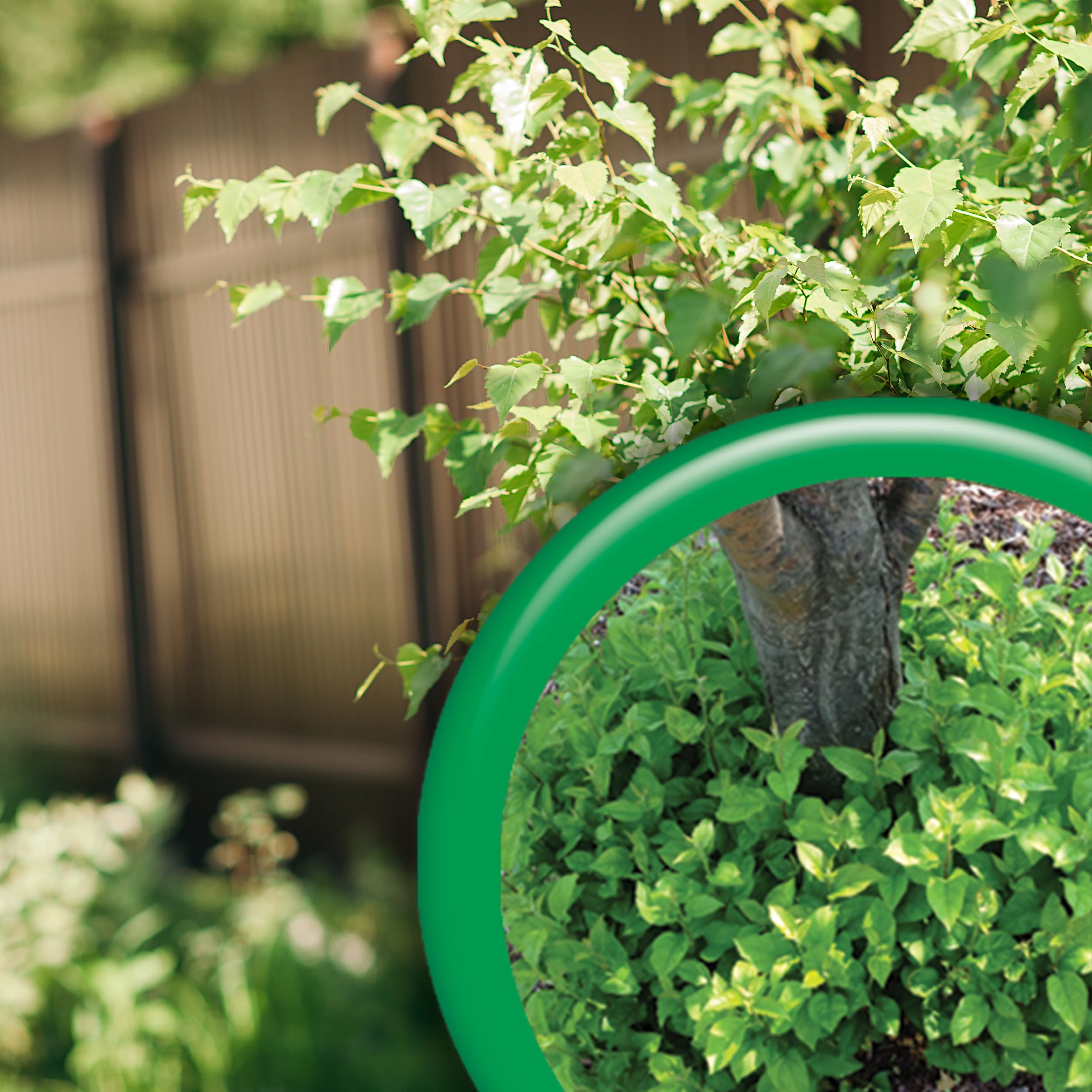 Bonide Sucker Punch ready-to-use trigger sprayer speeds garden tasks.