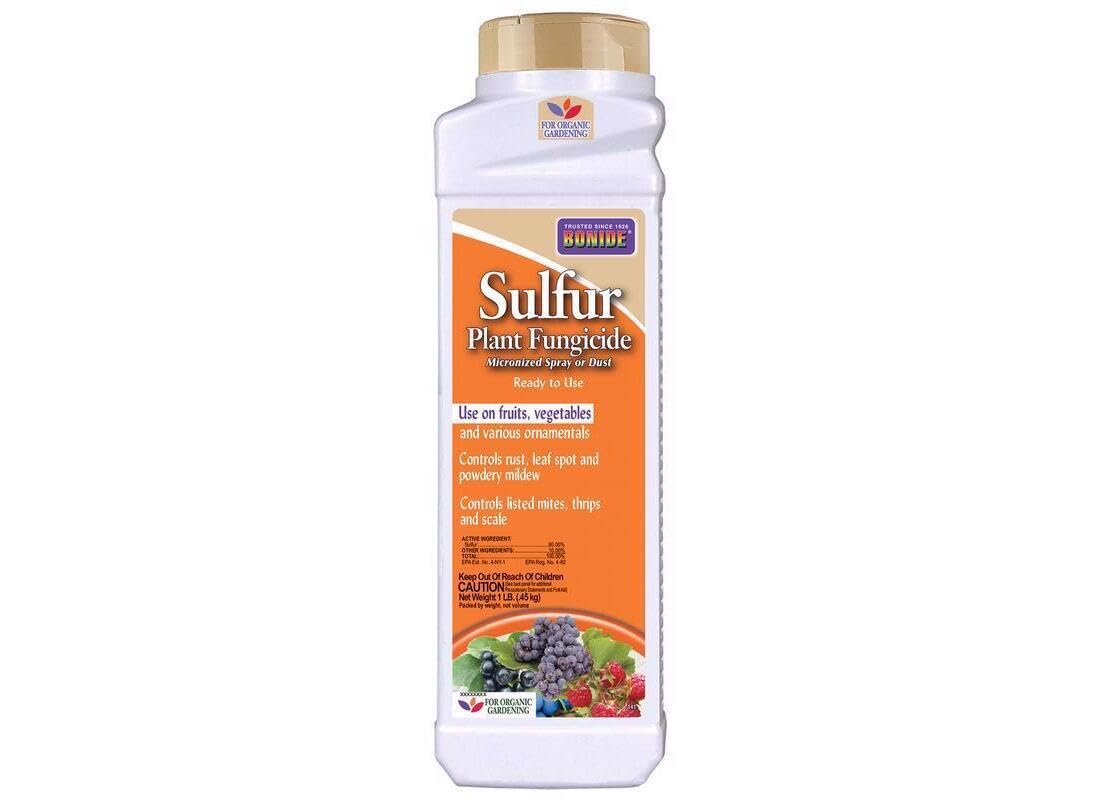 Bonide Sulfur Plant Fungicide dust bottle ready for garden disease prevention.