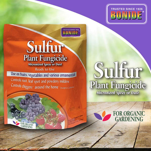 Bonide sulfur spray on fruit trees to deter powdery mildew