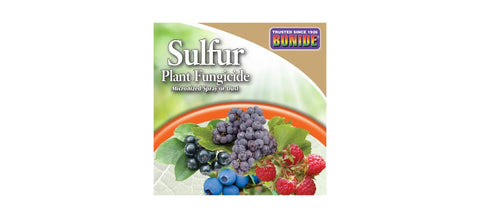 Bonide sulfur product applied to grapes, peaches, and berries.