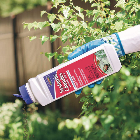Garden scene shows trees and shrubs protected from aphids by Bonide granules.