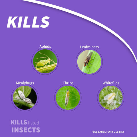 Bonide Systemic Granules Insect Killer ready-to-use granular application.