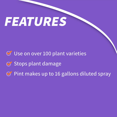 Bonide Systemic Insect Control protecting shrub leaves for vibrant growth