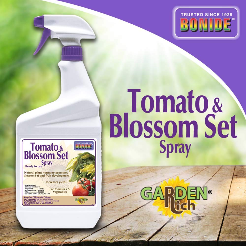 Bonide Tomato & Blossom Spray being applied to a tomato plant to support fruit set.