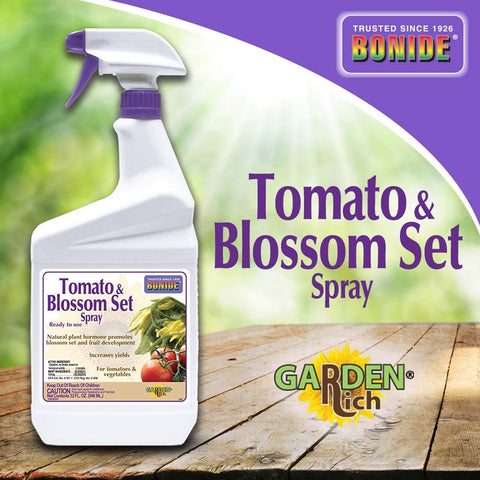 Bonide Tomato & Blossom Spray being applied to a tomato plant to support fruit set.