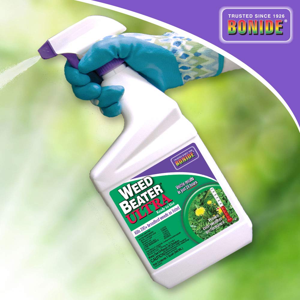 Bonide Weed Beater Ultra being applied to a lawn with safe grass results.