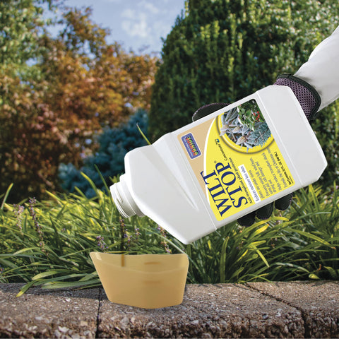 Bonide Wilt Stop helps prevent winter kill and wind damage