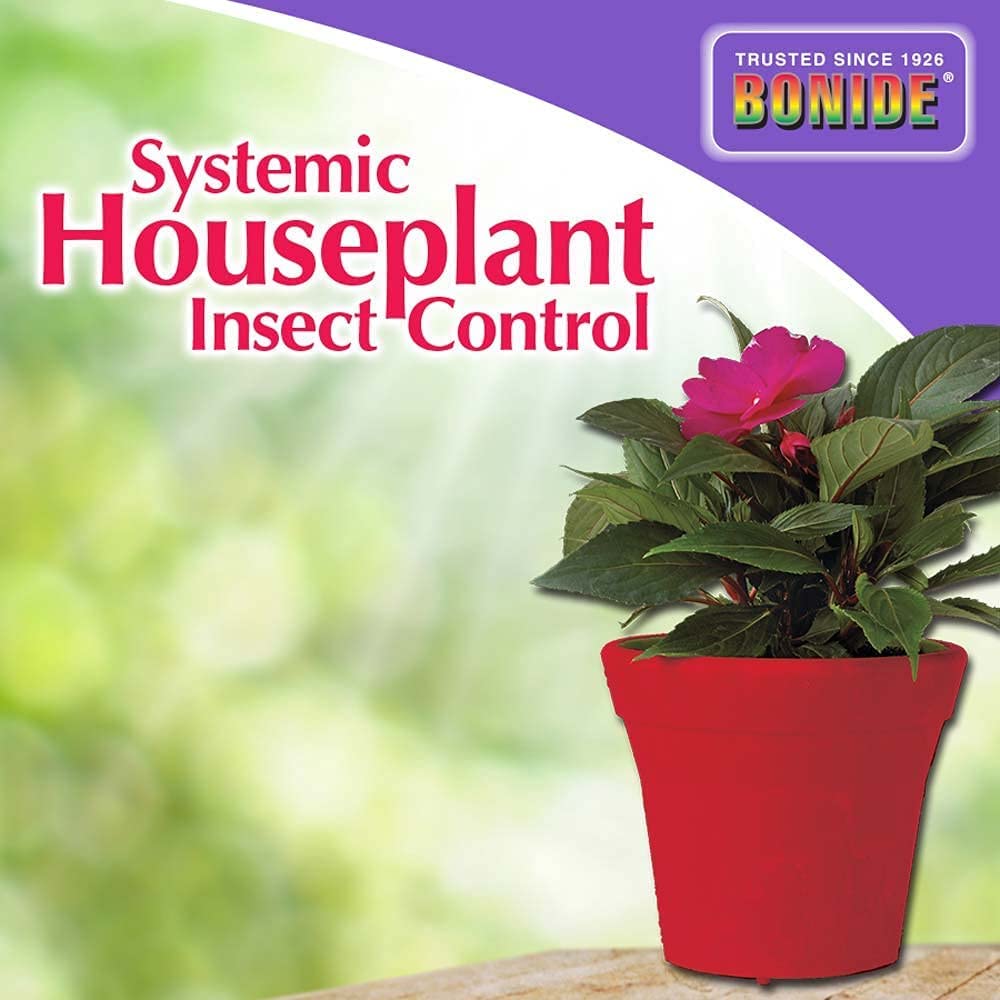 Bonine BND951 plant-in-pot scene with healthy foliage