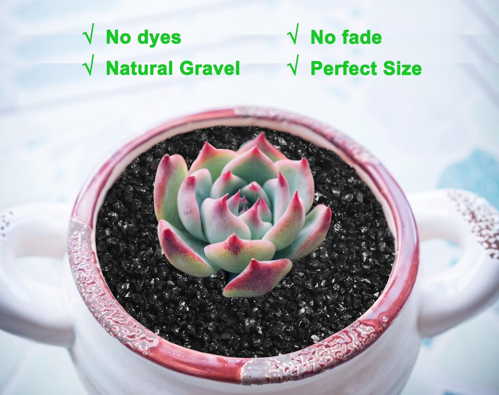 Boniosz gravel is ideal for DIY terrariums and crafts.